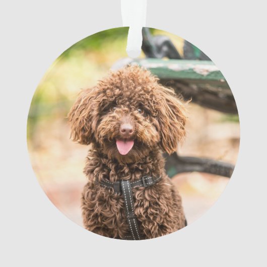 ドッグクリスマスオーナメントフォトペットファーリー&ブライト オーナメント (裏面)