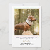 ドッグクリスマスカードフォトホリデーカーモダンド金ゴールド シーズンカード (裏面)