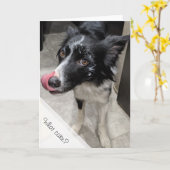 ドッグケ食べーキ誕生日 カード (黄色い花)