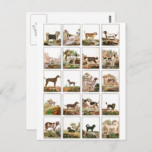 ドッグコレクションヴィンテージスタイル ポストカード (正面/裏面)