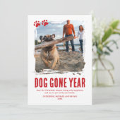 ドッグゴーイングイヤー赤い写真クリスマス シーズンカード (スタンド正面)