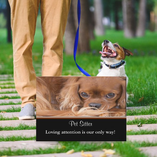 ドッグシッターRubyカバリエールキングチャールズスパニエル犬 名刺