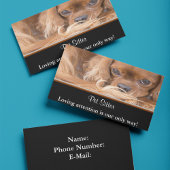 ドッグシッターRubyカバリエールキングチャールズスパニエル犬 名刺