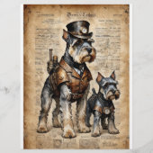 ドッグシュナウツァーエクスプローレエフェメラデクページ –  (正面)