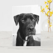 ドッグシリーズ カード (黄色い花)