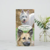 ドッグスのクリスマスフォトカード シーズンカード (スタンド正面)