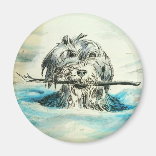 ドッグスイミングサークル磁石 マグネット (正面)