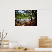ドッグスイミングラディバード湖2 – オースティンテキサス州 ポスター (キッチン)