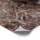 ドッグスナップ ポスター (角)