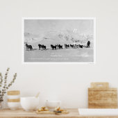 ドッグスレーチャンピオンズアラスカ1910 ポスター (キッチン)