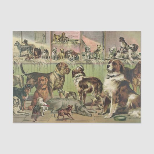 ドッグズのティッシュペーパー 薄葉紙 (正面)