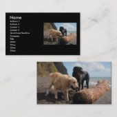 ドッグズアットザビーチ 名刺 (正面/裏面)