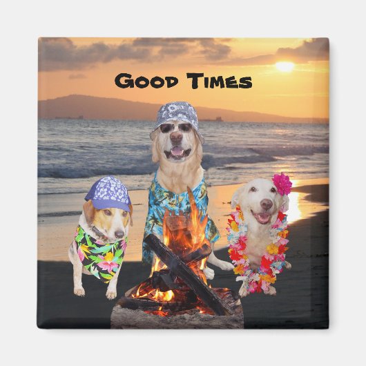 ドッグズオンビーチアットサンセット マグネット (正面)