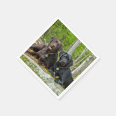 ドッグズパピズブラックラボチョコレートラブラドール取得 スタンダードカクテルナプキン (角)