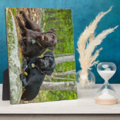 ドッグズパピズブラックラボチョコレートラブラドール取得 フォトプラーク (側面)