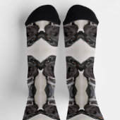 ドッグソックス ソックス (上部)