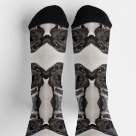 ドッグソックス ソックス