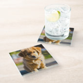 ドッグデッキ ガラスコースター (アングル)