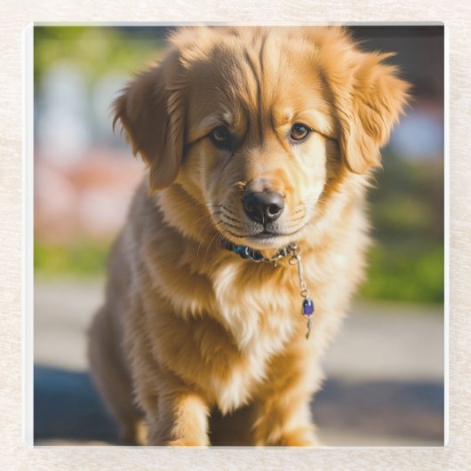 ドッグデッキ ガラスコースター (正面)