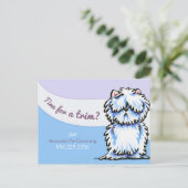 ドッグトリマーシャビーウェスティー広告メーラー ポストカード (スタンド正面)