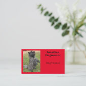 ドッグトレーナーブライトレッドミニマル写真 名刺 (スタンド正面)