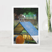 ドッグトレーニングスクール カード (正面)