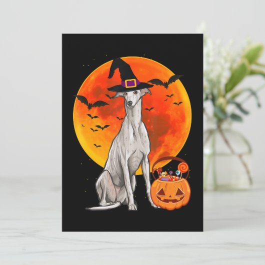 ドッグハロウィーングレイハウンドハロウィーンのカボチャのちょうちんパンプキン シーズンカード (スタンド正面)