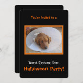 ドッグハローウィンパーティ招待状 招待状 (正面/裏面)