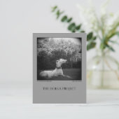 ドッグパークはがき12 ポストカード (スタンド正面)