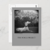 ドッグパークはがき12 ポストカード (正面/裏面)