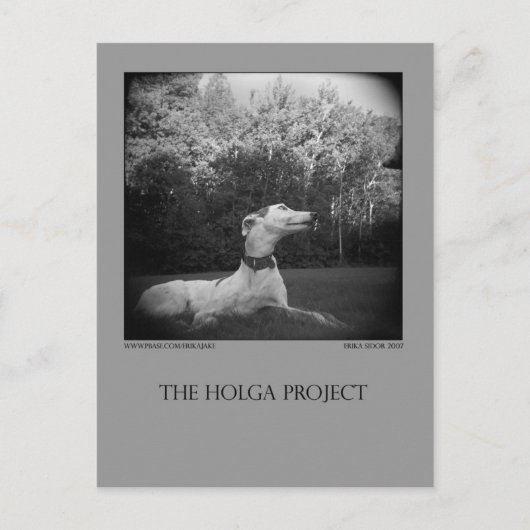 ドッグパークはがき12 ポストカード (正面)