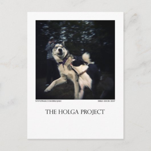 ドッグパークはがき13 ポストカード (正面)