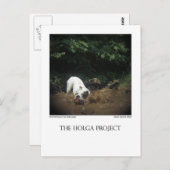 ドッグパークはがき14 ポストカード (正面/裏面)