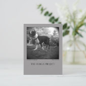 ドッグパークはがき15 ポストカード (スタンド正面)