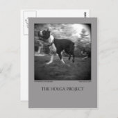 ドッグパークはがき15 ポストカード (正面/裏面)