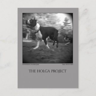 ドッグパークはがき15 ポストカード