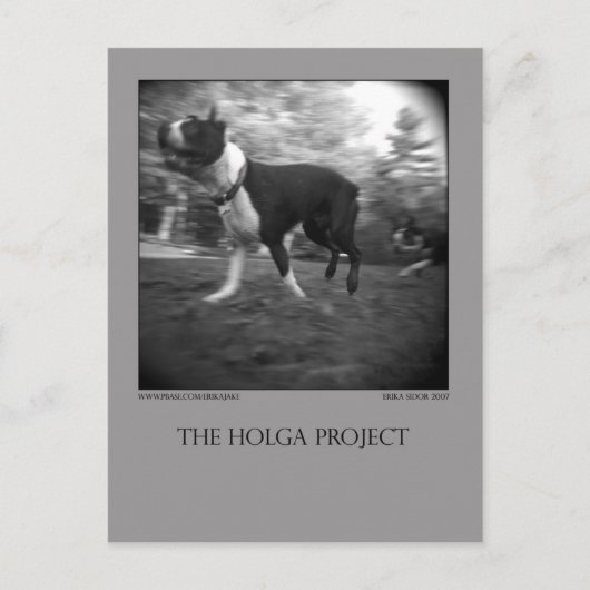 ドッグパークはがき15 ポストカード (正面)