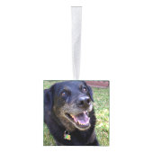 ドッグパーソナライズされたクリスマスツリーオーナメント写真 キューブオーナメント (右)