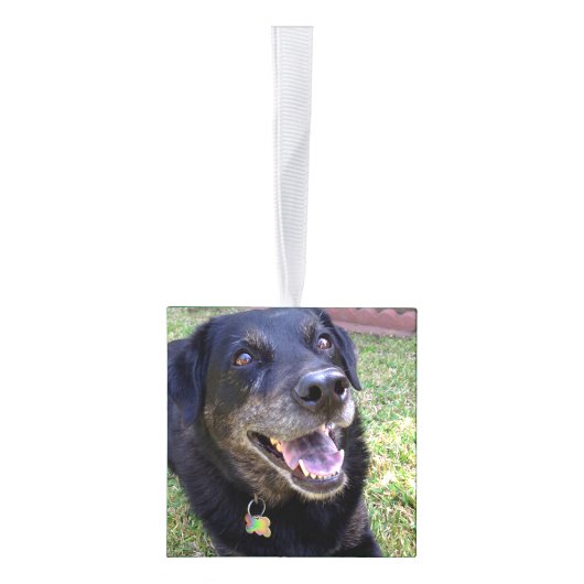 ドッグパーソナライズされたクリスマスツリーオーナメント写真 キューブオーナメント (右)