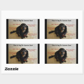 ドッグビスケットクッキートリートJARラベル 長方形シール (シート)