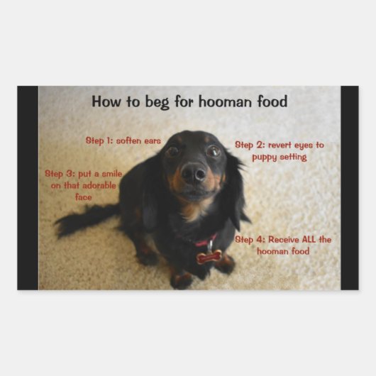 ドッグビスケットクッキートリートJARラベル 長方形シール (正面)