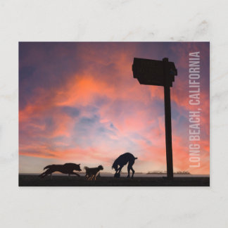 ドッグビーチアットサンセット – ロングビーチ，カリフォルニア ポストカード