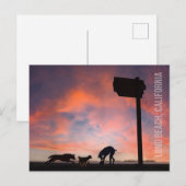 ドッグビーチアットサンセット – ロングビーチ，カリフォルニア ポストカード (正面/裏面)