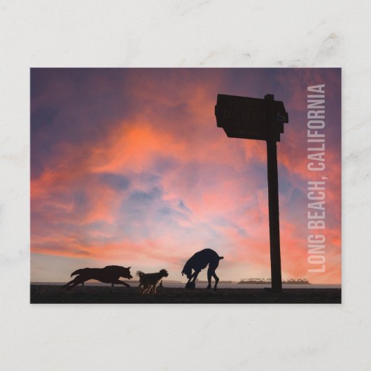 ドッグビーチアットサンセット – ロングビーチ，カリフォルニア ポストカード (正面)
