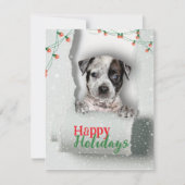 ドッグピーキングクリスマスライトホリデーカード カード (正面)