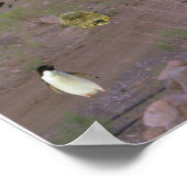 ドッグファルト ポスター (角)