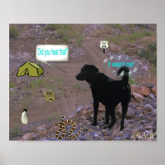 ドッグファルト ポスター (正面)