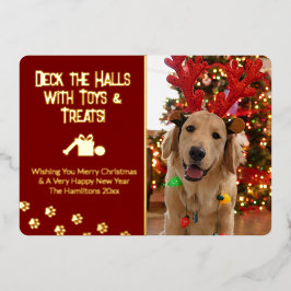 ドッグフォトのおもちゃとトリートメントでホールをデッキ 箔シーズンカード