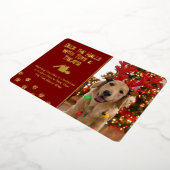 ドッグフォトのおもちゃとトリートメントでホールをデッキ 箔シーズンカード (回転した状態)