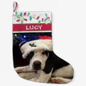 ドッグフォトウォーターカラーホリデーライト スモールクリスマスストッキング (正面)